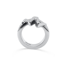Monsieur Ring