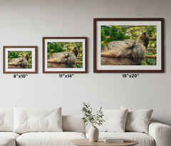 The Art of the Nap: Bamboo Slumber Print